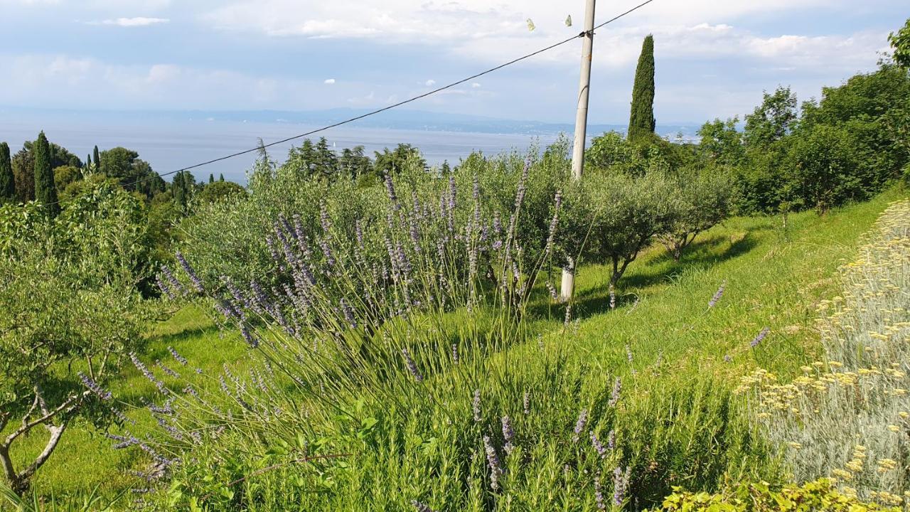 Apartments Bancic Portorož Zewnętrze zdjęcie
